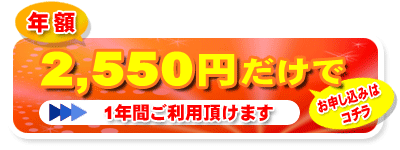 e�̎����l�b�g�̂����p���\�����݂͂�����